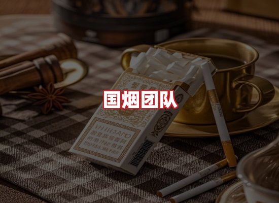 国烟团队